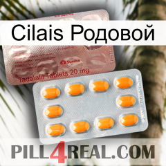 Cilais Родовой new13